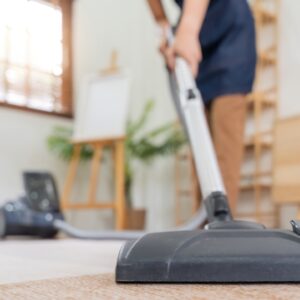 Professional Carpet Cleaning Services